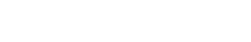 Shopify Partners