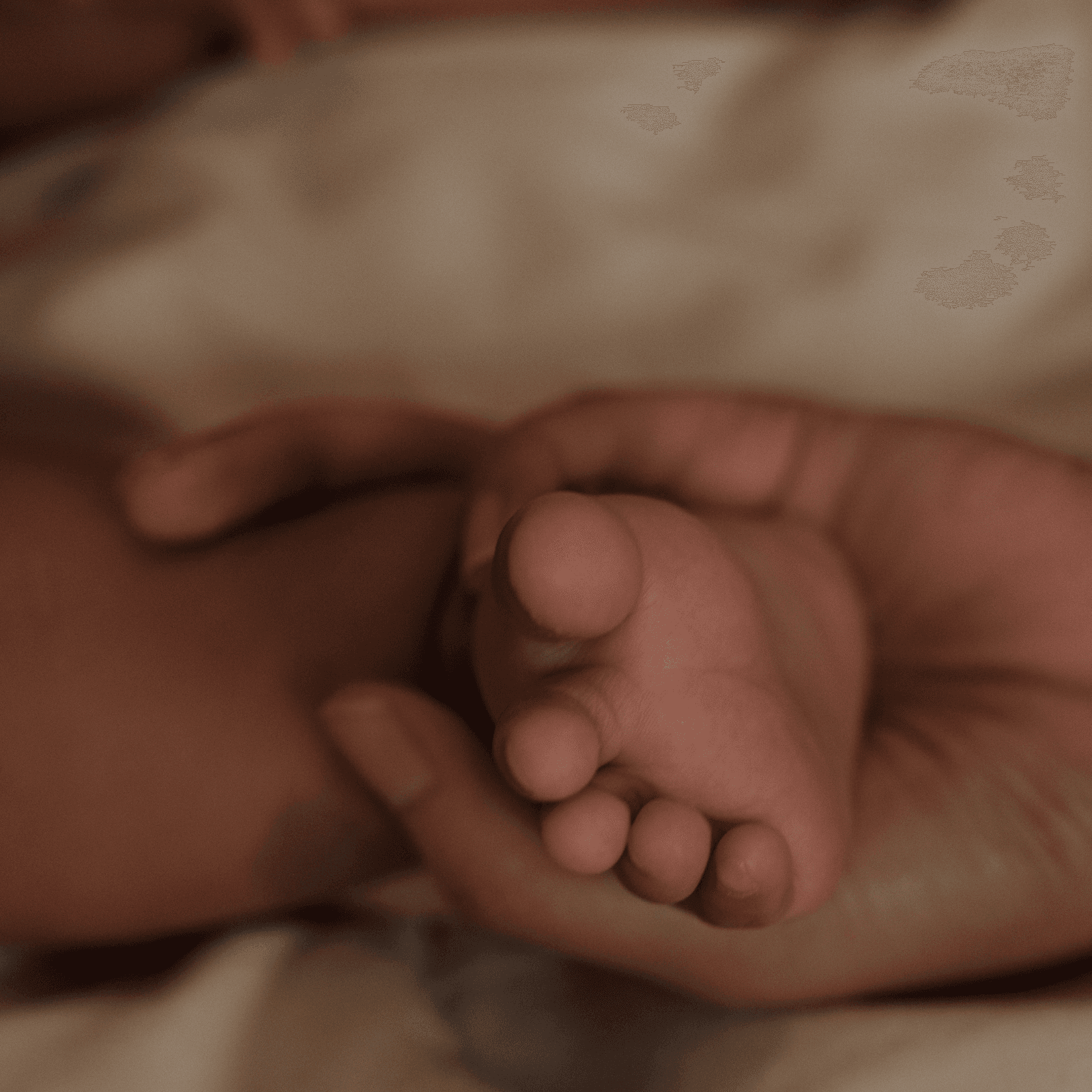 Projet Ysé Naissance